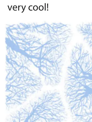 Crown shyness illustration