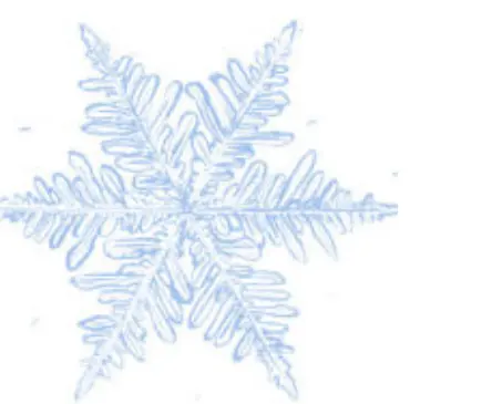 Stellar dendrite illustration
