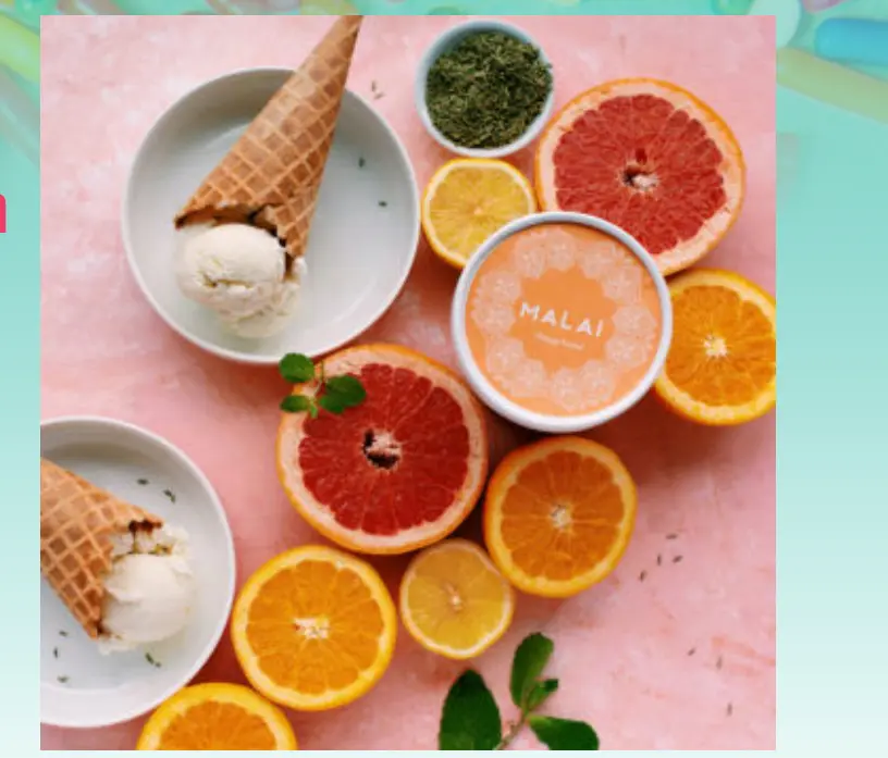Malai ice cream with citrus fruit. Photos by Malai / Morgan Ione Photography