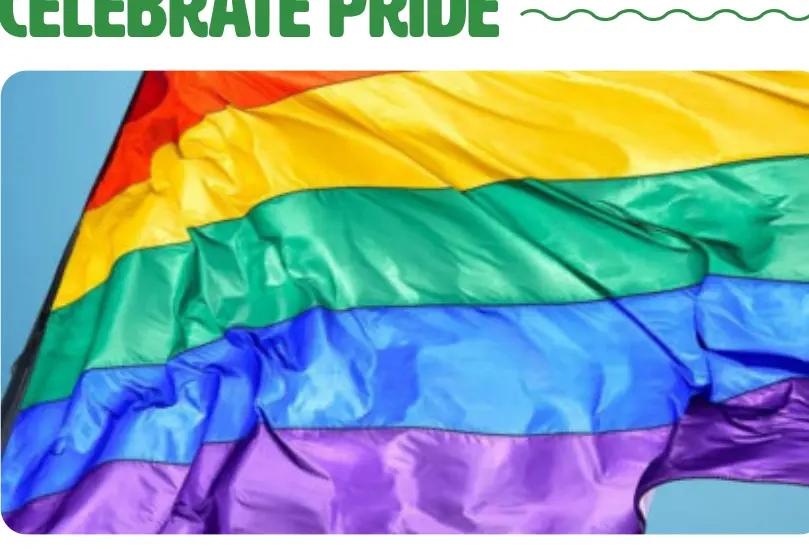 A rainbow Pride flag.