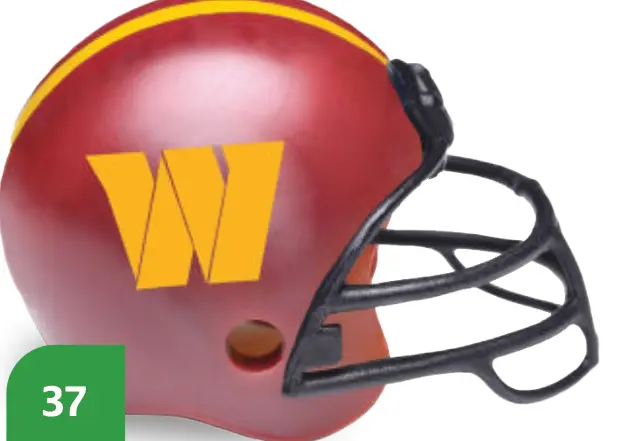 Family-Friendly Tips for a Washington Commanders Game