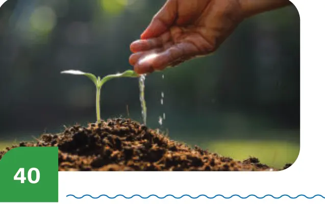 Planting Seeds of Growth