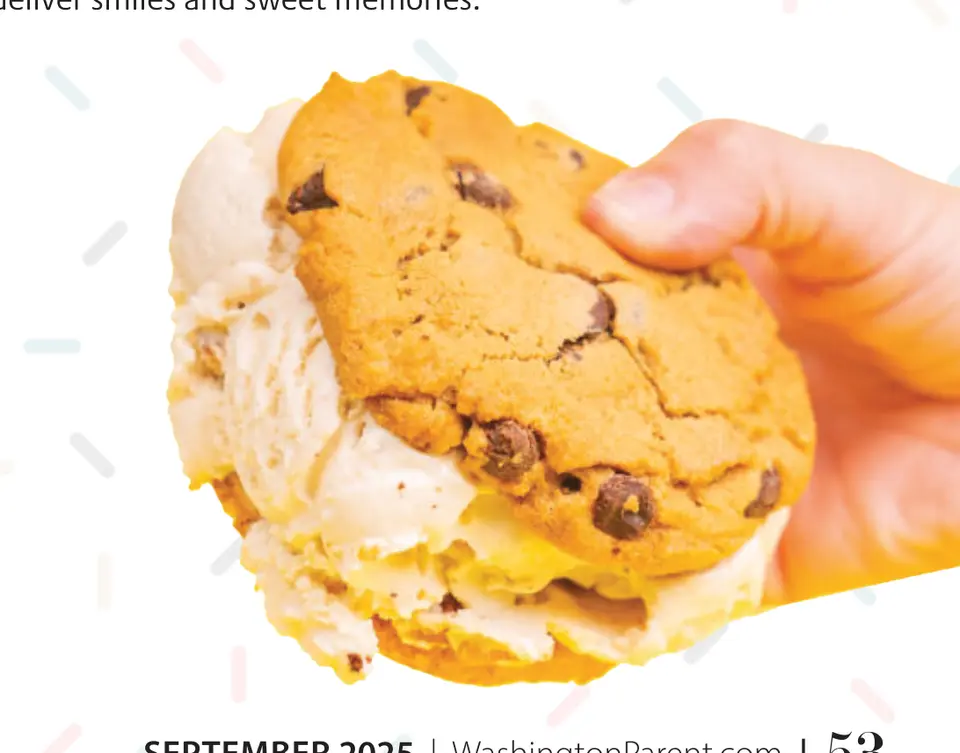 A chocolate chip cookie ice cream sandwich.