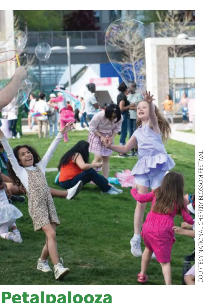 Petalpalooza (Courtesy National Cherry Blossom Festival)