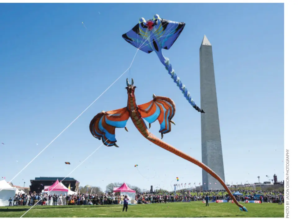 Kites fly near the Washington Monument during the National Cherry Blossom Festival. (Photo by Jason Dixon Photography)