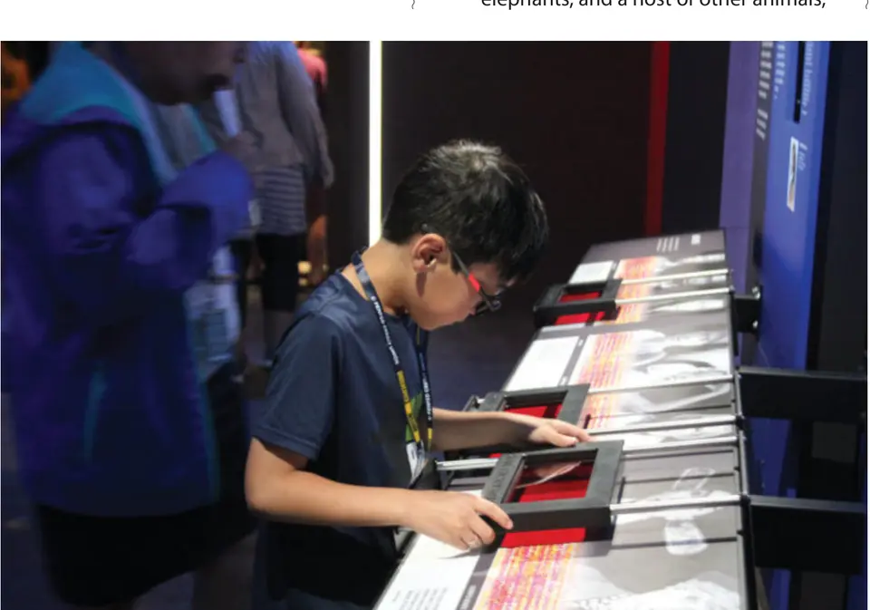 A young visitor explores an exhibit. (Photo courtesy International Spy Museum)