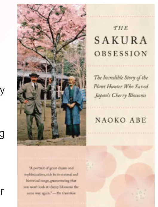 Cover of "The Sakura Obsession" by Naoko Abe