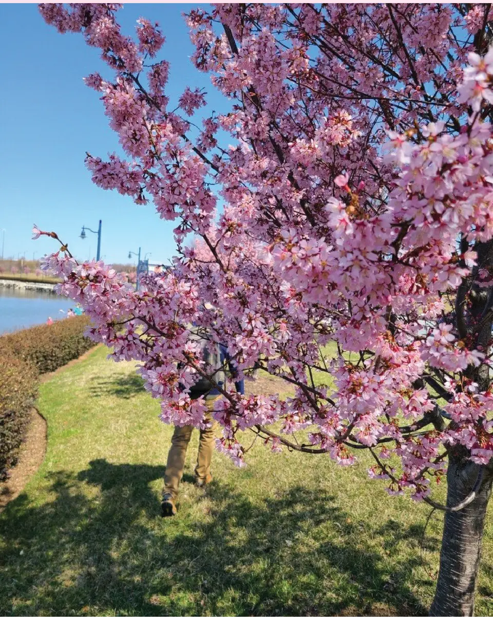 PHOTO COURTESY NATIONAL HARBOR