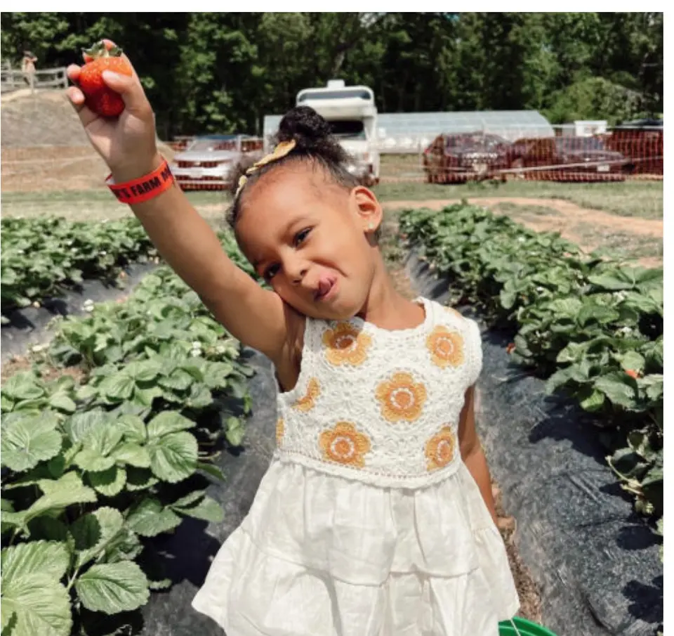 Photo courtesy Messick's Farm Market