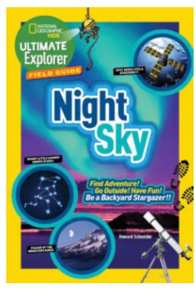 Night Sky by Howard Schneider